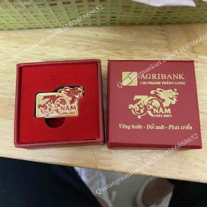 Huy hiệu đồng mạ vàng 24k 2 huy-hieu-dong-ma-vang-sang-trong