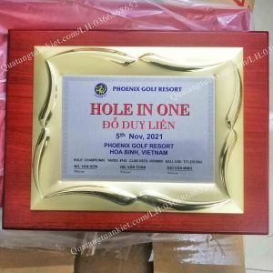 Biểu trưng gỗ khung kim loại mẫu lá 2 bieu-trung-go-khung-kim-loai-mau-la-in-kim-loai