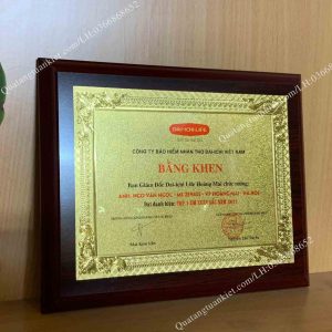 bieu-trung-go-trang-kim-hoa-van-goc-khung-A5