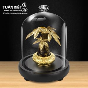 cay-kim-ngan-luong-ma-vang-24k