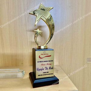 cup-kim-loai-sao-doi