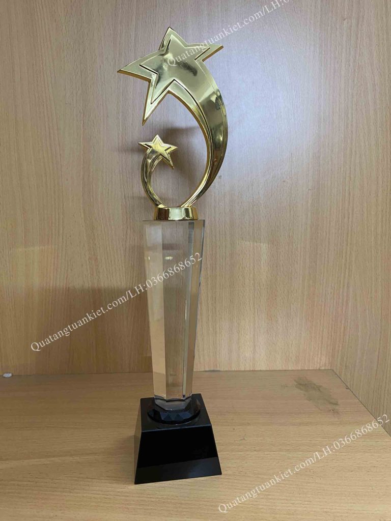 cup-luu-niem-pha-le-sao-doi-cao cup-luu-niem-pha-le-sao-doi-cao