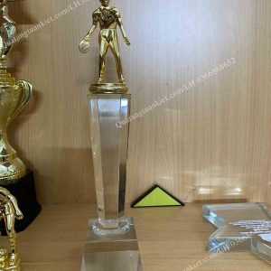 cup-pha-le-bong-ban-kim-loai-ma-vang-cao