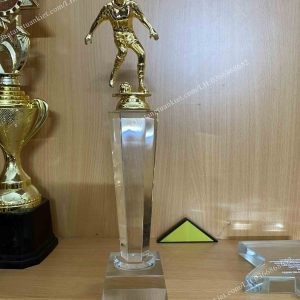 cup-pha-le-bong-da-kim-loai-ma-vang-cao