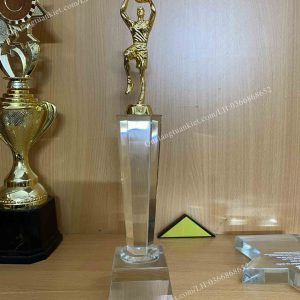 cup-pha-le-bong-ro-kim-loai-ma-vang-cao