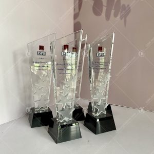 cup-pha-le-dai-hoc-ha-noi