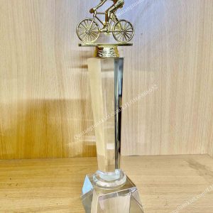 cup-pha-le-giai-dua-xe-dap-kim-loai-ma-vang-cao