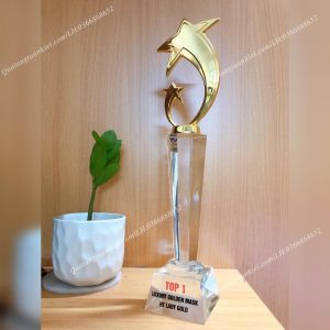 Cúp pha lê sao đôi 2 cup-pha-le-sao-doi-cao