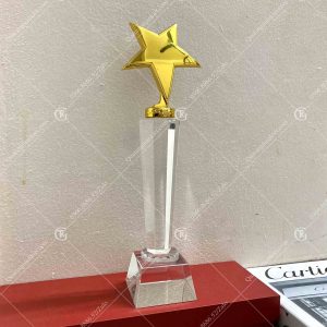 Cúp pha lê sao đơn cao 1 cup-pha-le-sao-don-cao-de-trang