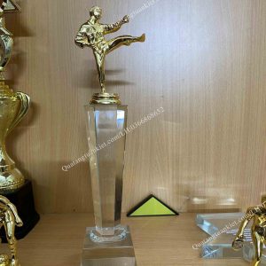 cup-pha-le-vo-thuat-kim-loai-ma-vang-cao