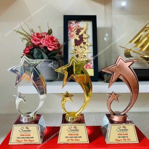 cup-vinh-danh-sao-doi