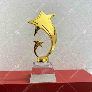 cup-vinh-danh-sao-doi-de-trang