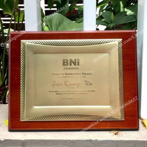 khung-bang-khen-kim-loai-mau-tk03