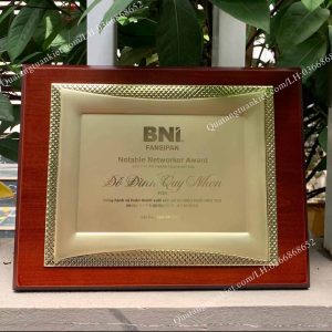 lam-bang-vinh-danh-go-khung-kim-loai-mau-tk03