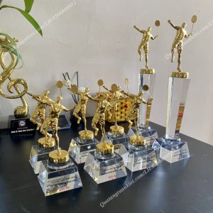 lam-cup-pha-le-cau-long-tai-ha-noi