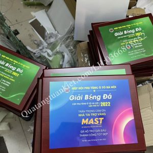 Biểu trưng gỗ in kim loại chuyển nhiệt 23x30cm 2 xuong-san-xuat-bieu-trung-go-in-kim-loai-chuyen-nhiet