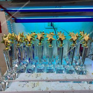 Cúp pha lê sao đơn cao 5 xuong-san-xuat-cup-pha-le-sao-don-cao