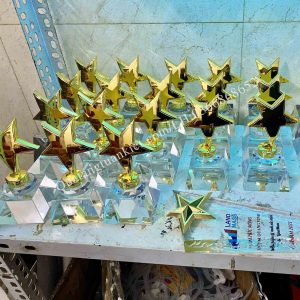 Cúp pha lê sao đơn thấp 1 xuong-san-xuat-cup-pha-le-sao-don-thap