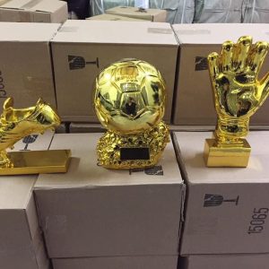 cup-composite-qua-bong-ma-vang