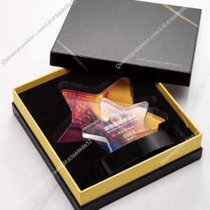 Kỷ niệm chương pha lê sao đôi 2 lam-ky-niem-chuong-pha-le-sao-doi