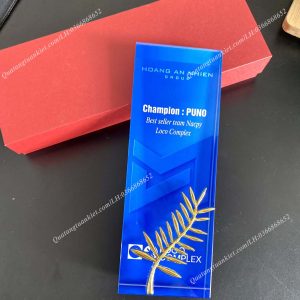 cup-vinh-danh-pha-le-chu-nhat-dung