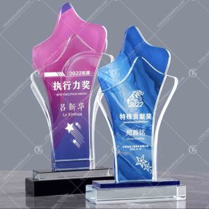 cup-luu-niem-pha-le-tk11