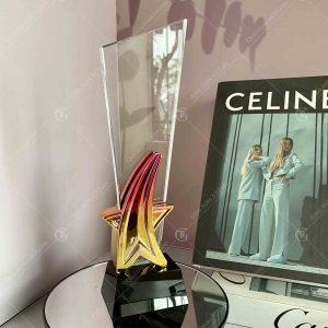 cup-luu-niem-pha-le-hoa-tiet-sao-cong-ma-mau