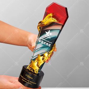 cup-vinh-danh-pha-le-tk26