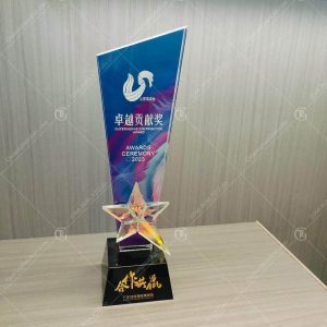 lam-cup-pha-le-vat-hoa-tiet-ngoi-sao-pha-le-tai-ha-noi