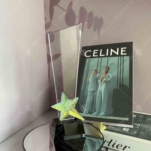 phoi-chua-in-cup-luu-niem-vat-hoa-tiet-ngoi-sao-pha-le